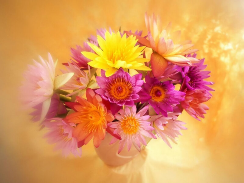 Colorful lotus flower bouquet