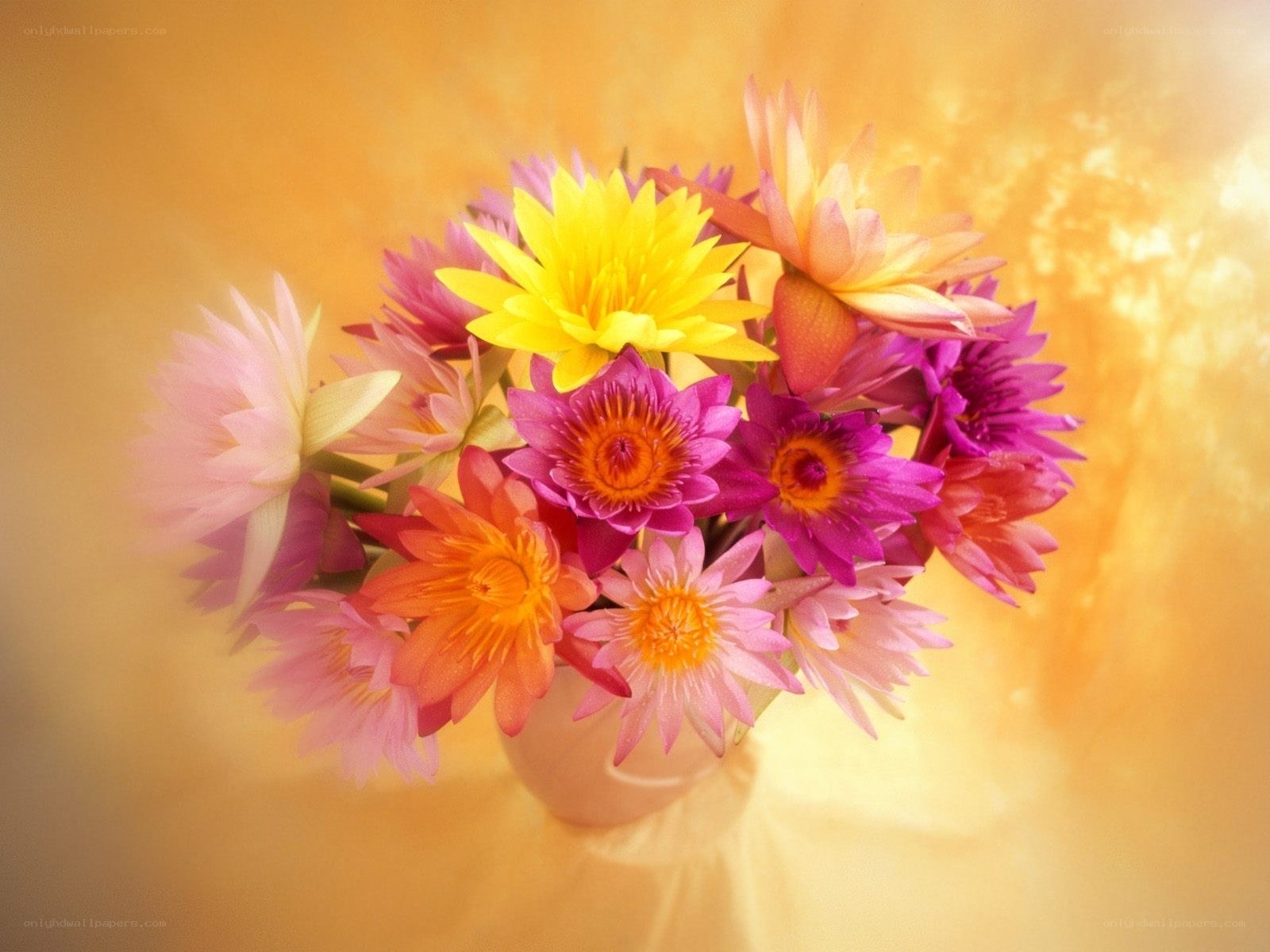 Colorful lotus flower bouquet