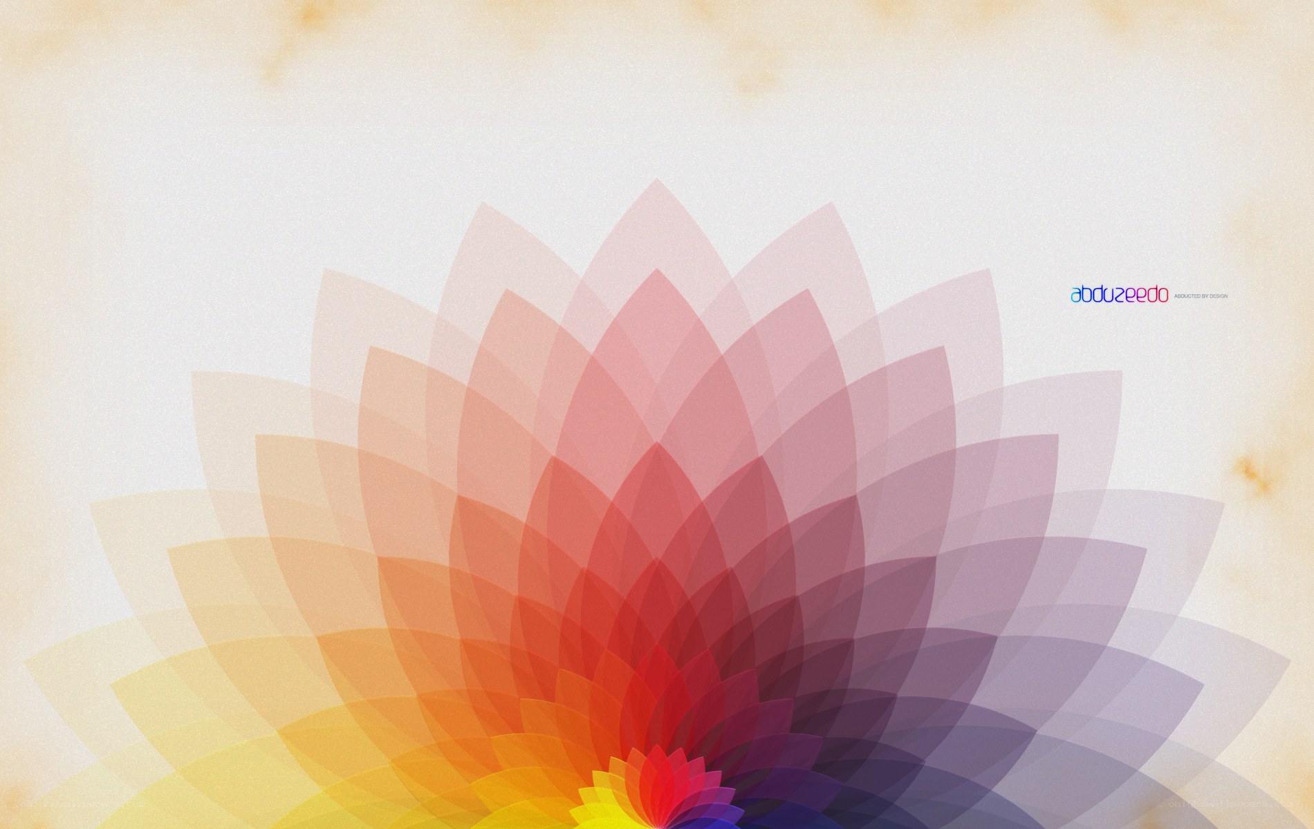 colorful lotus flower design