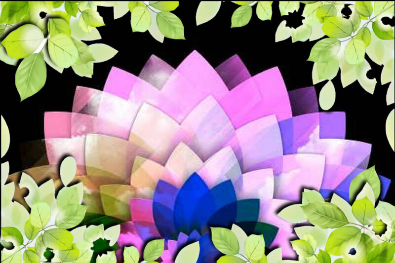 Colorful Lotus Flower — Purple