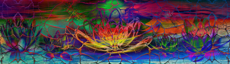 Colorful Lotus Flowers — Purple
