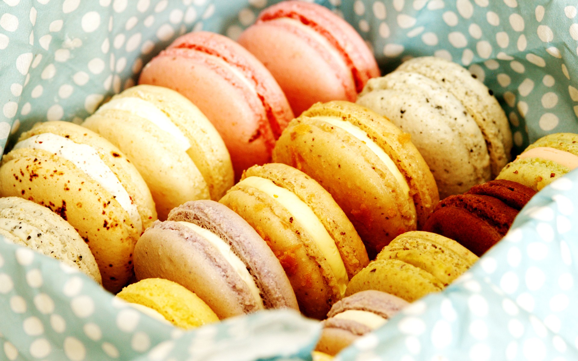 Colorful macarons in a box