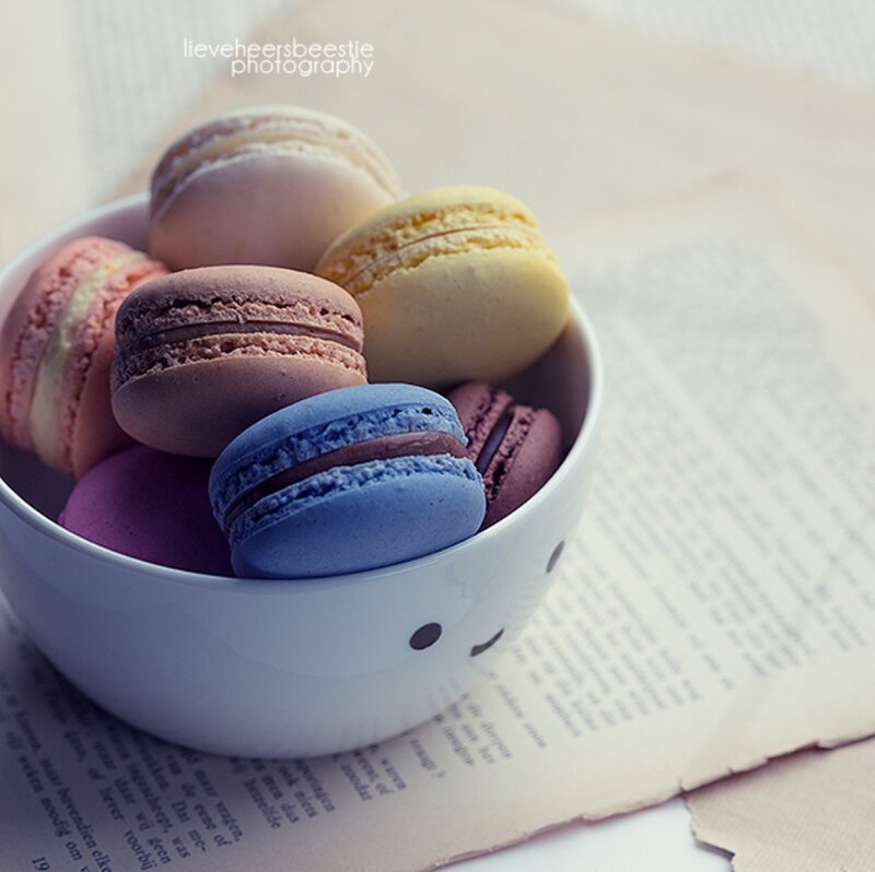 Colorful Macarons in Bowl — White