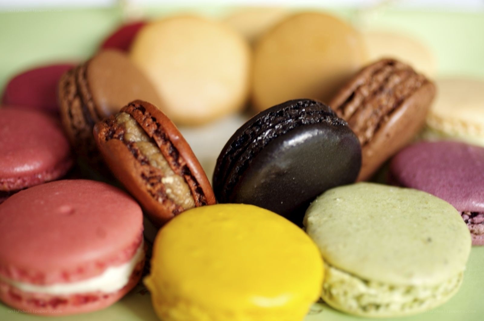 Colorful macarons on a plate