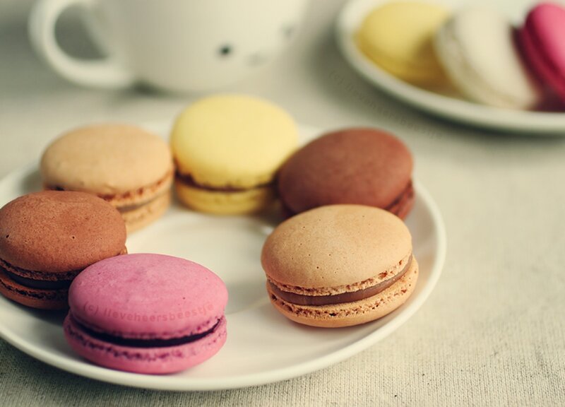 Colorful Macarons on Plate