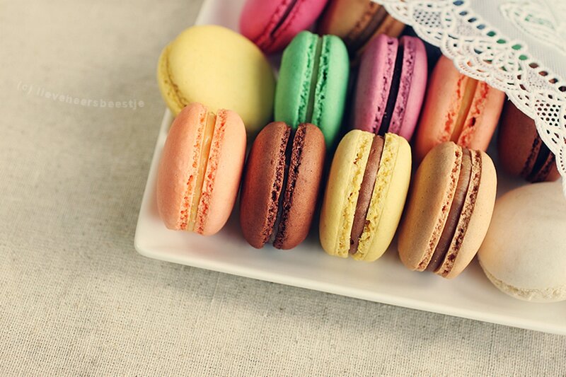 Colorful Macarons on Plate — Yellow