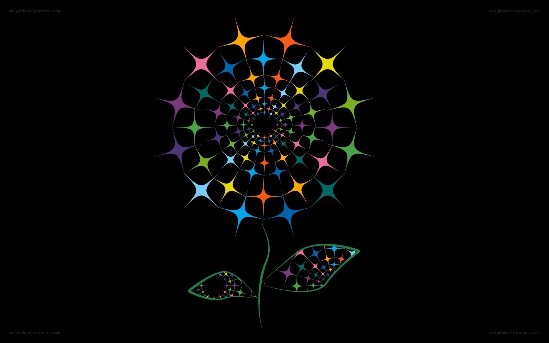 colorful mandala flower