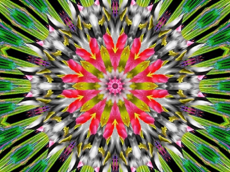 Colorful Mandala Pattern — Pink, Vibrant