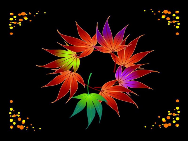 Colorful Maple Leaves