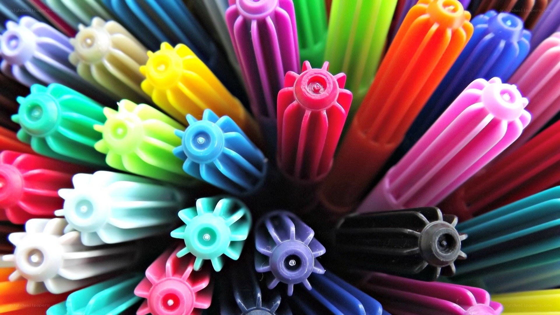 Colorful markers in a holder