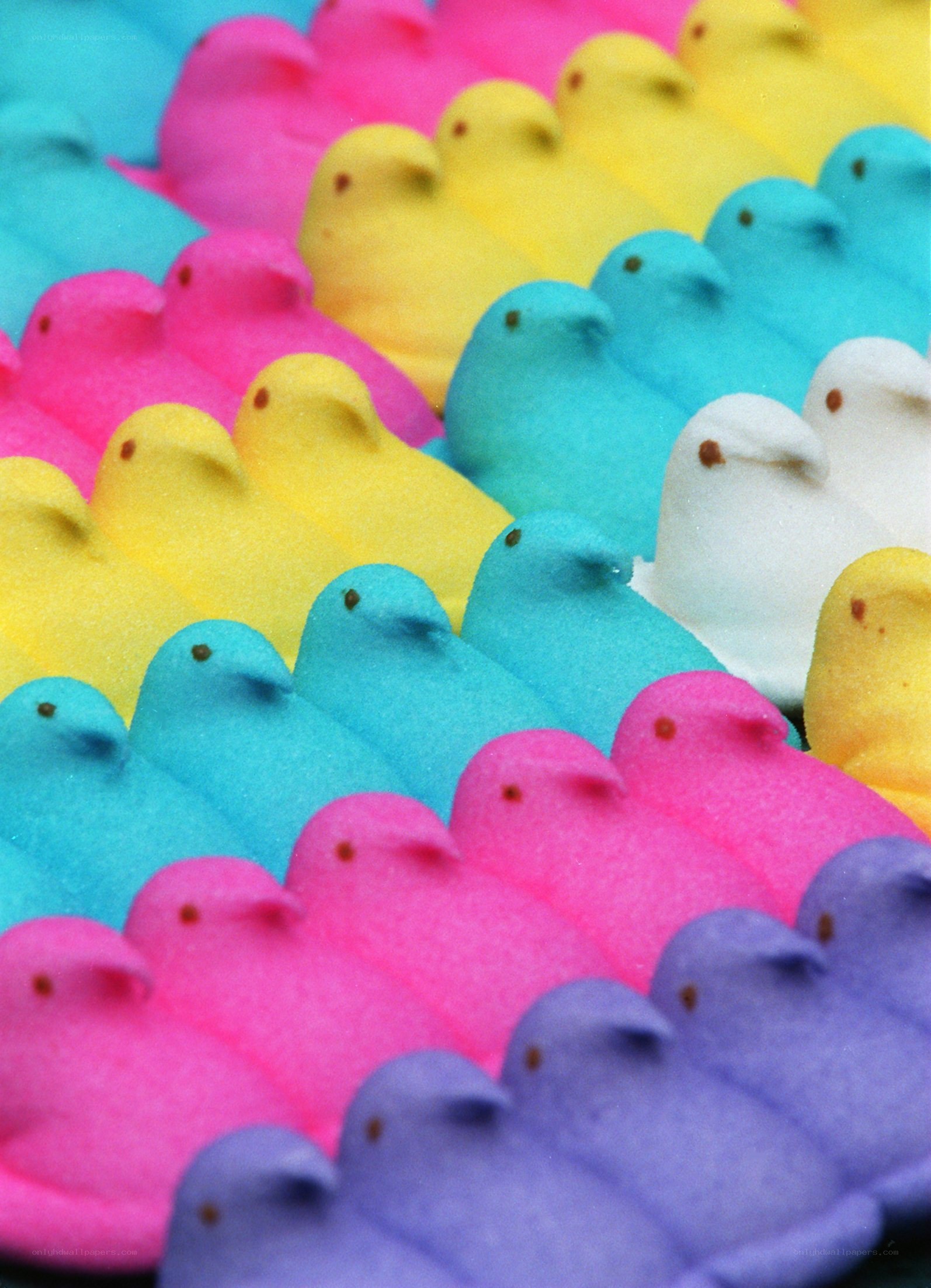 Colorful marshmallow peeps