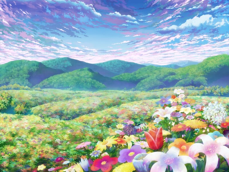 Colorful meadow with mountains