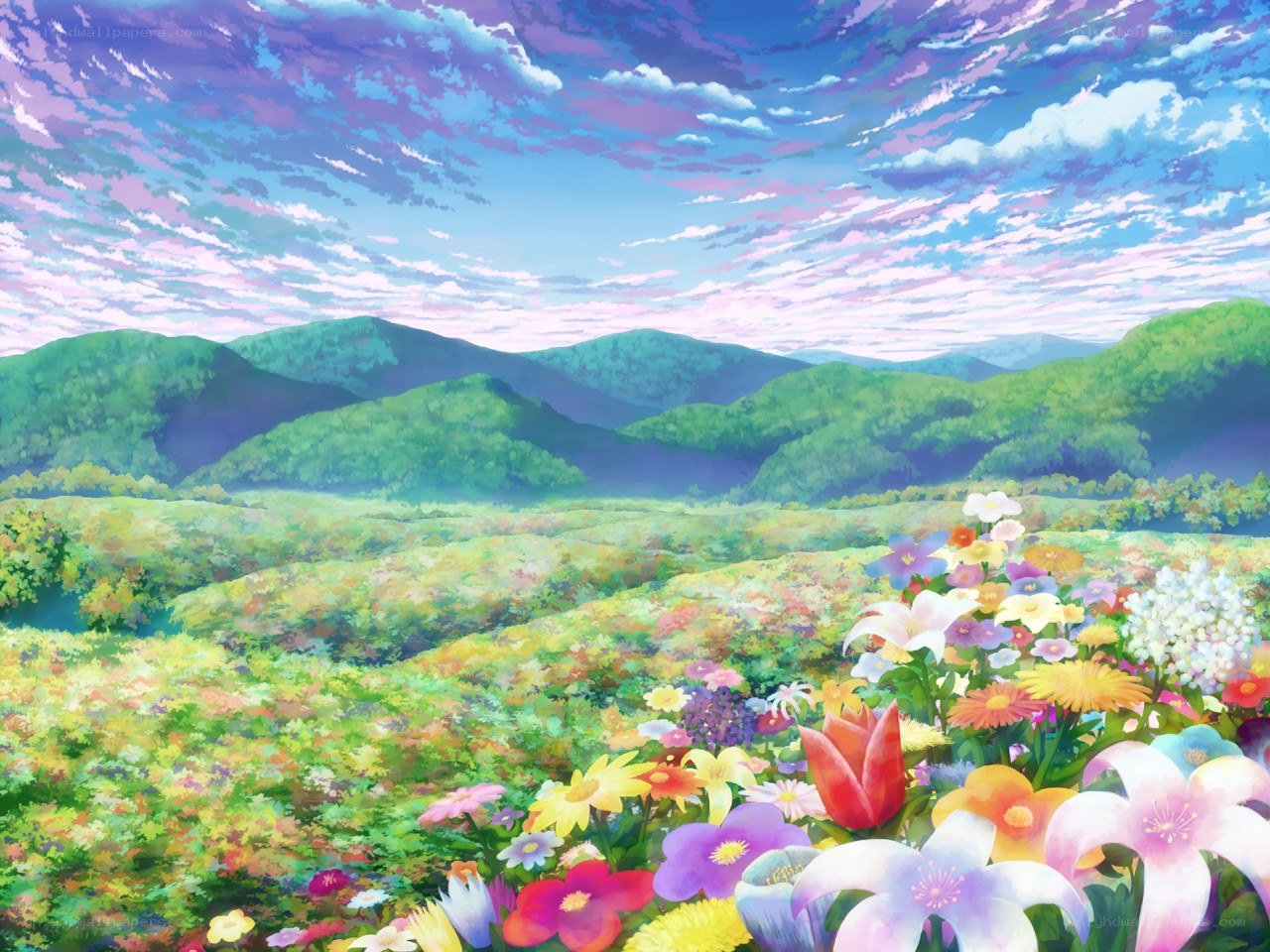 Colorful meadow with mountains