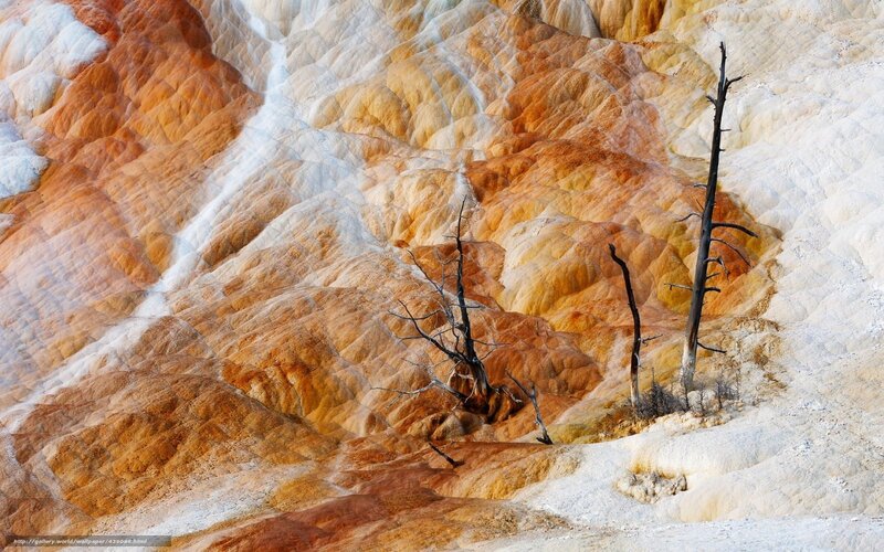 Colorful mineral terraces with dead trees