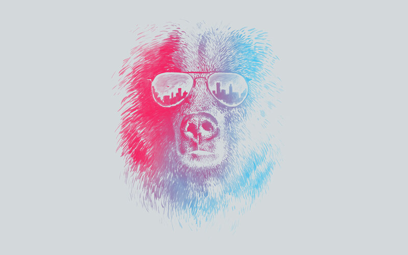 colorful monkey with sunglasses