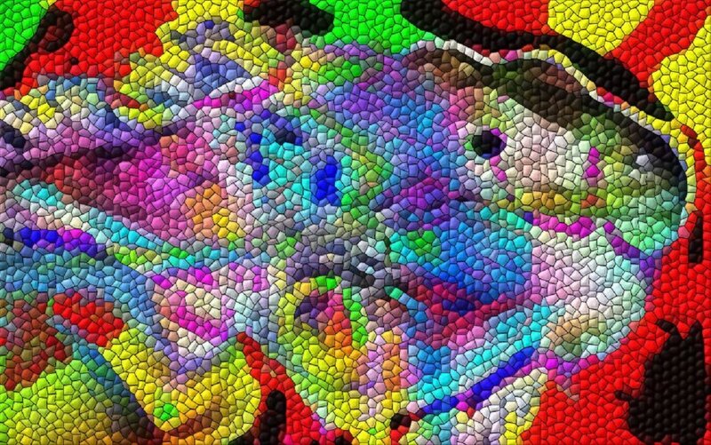 Colorful Mosaic Fish