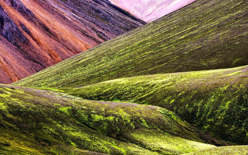Colorful Moss-covered Hills — Green