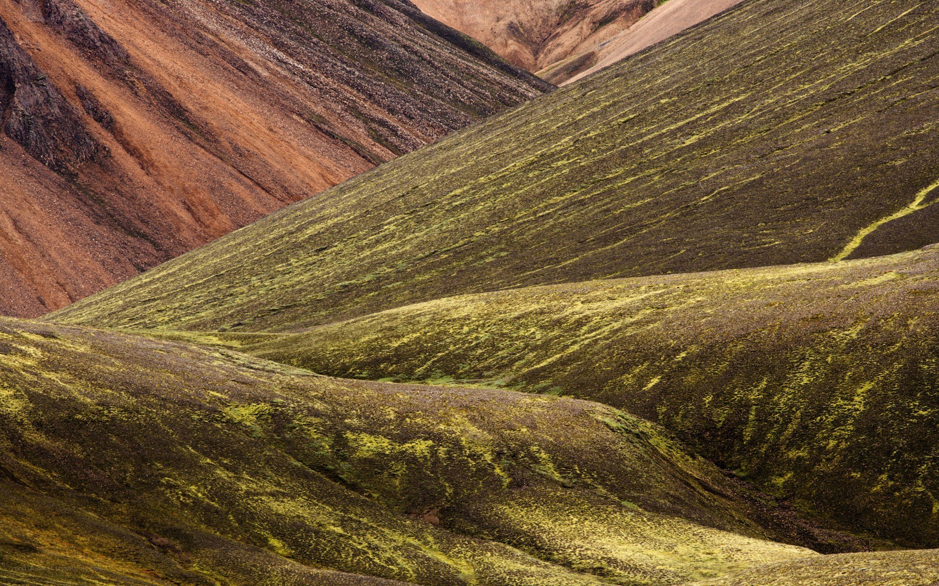 Colorful moss-covered hills