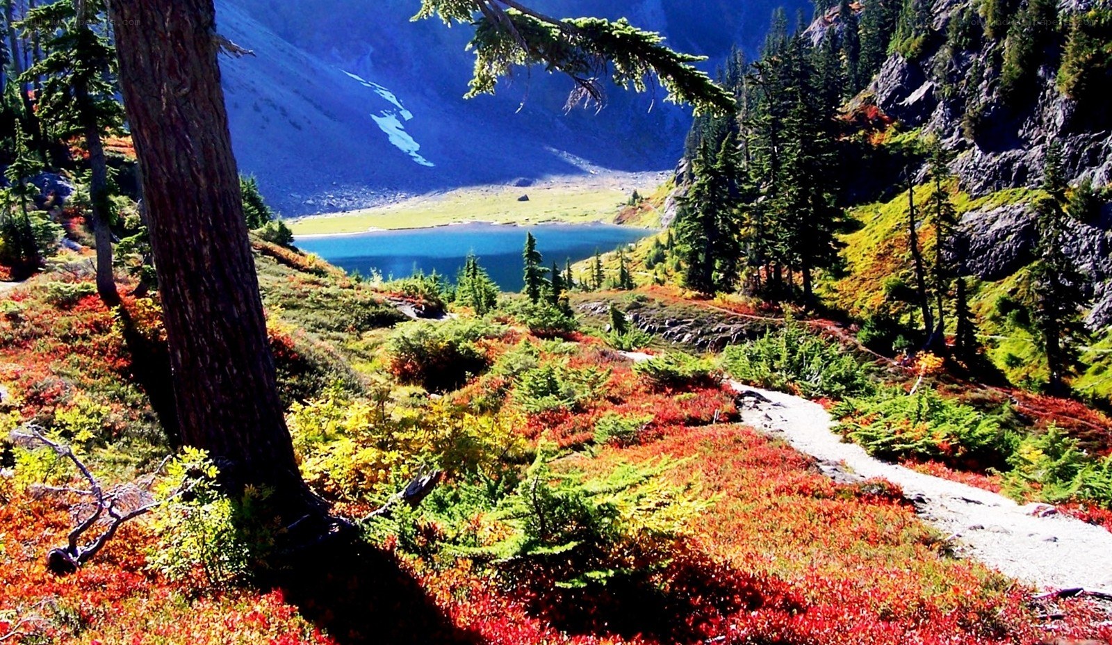 Colorful mountain lake landscape