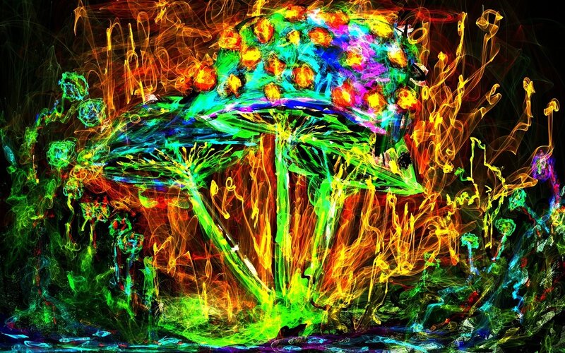 Colorful Mushroom Art