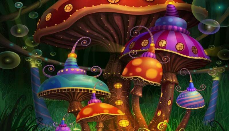 Colorful Mushroom Houses