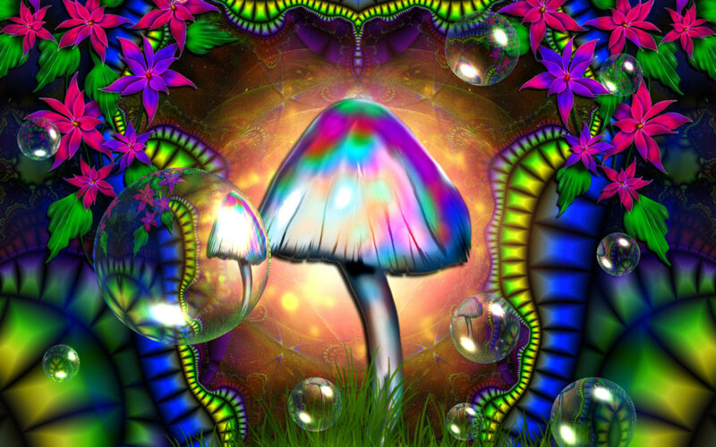 Colorful Mushroom in Garden — Green