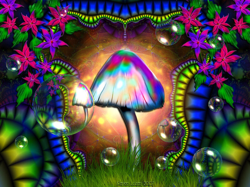 Colorful Mushroom in Garden