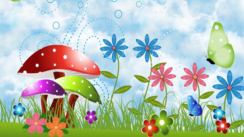 Colorful Mushrooms and Flowers
