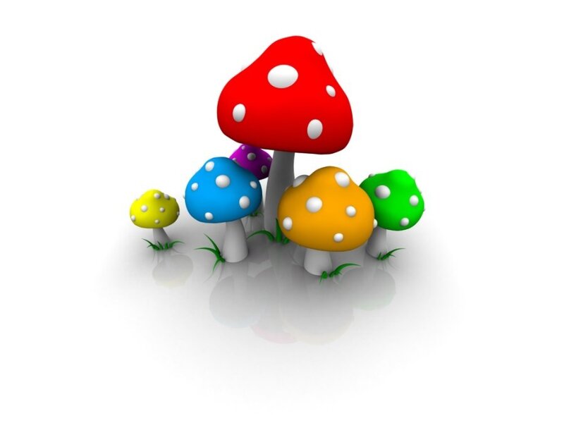 colorful mushrooms in a cluster