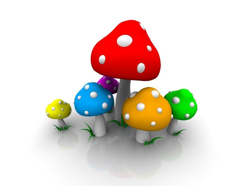 colorful mushrooms in a field