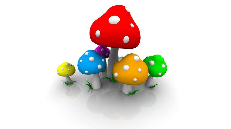 colorful mushrooms in a field
