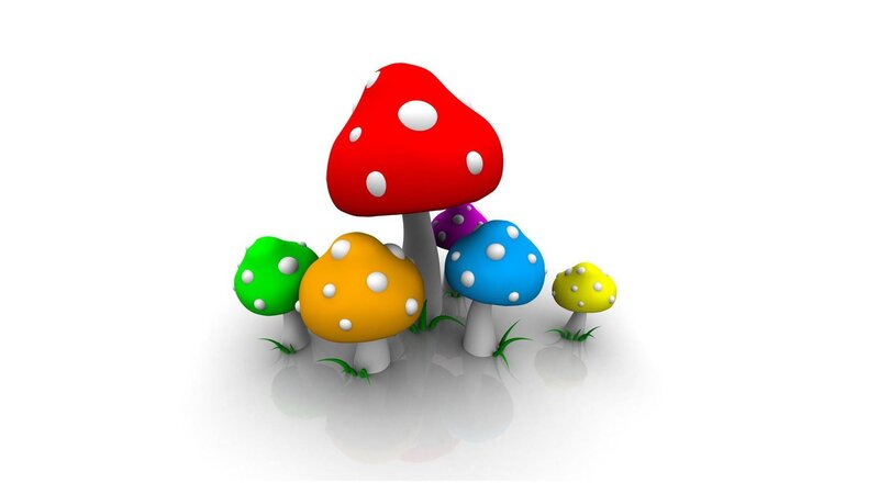 colorful mushrooms in a field