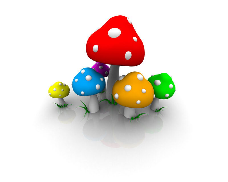 colorful mushrooms in a field