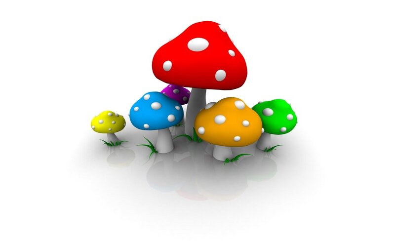 colorful mushrooms in a field