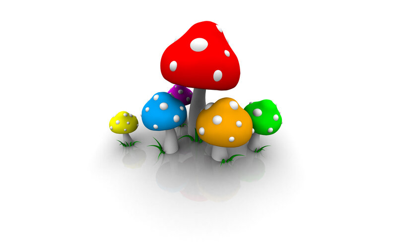 Colorful mushrooms in a garden