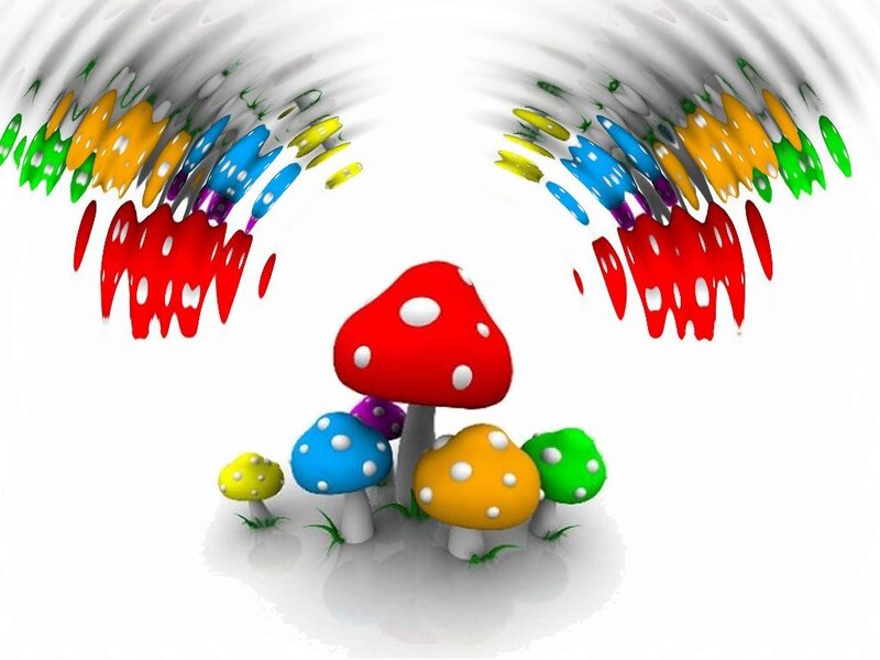 colorful mushrooms in a swirl