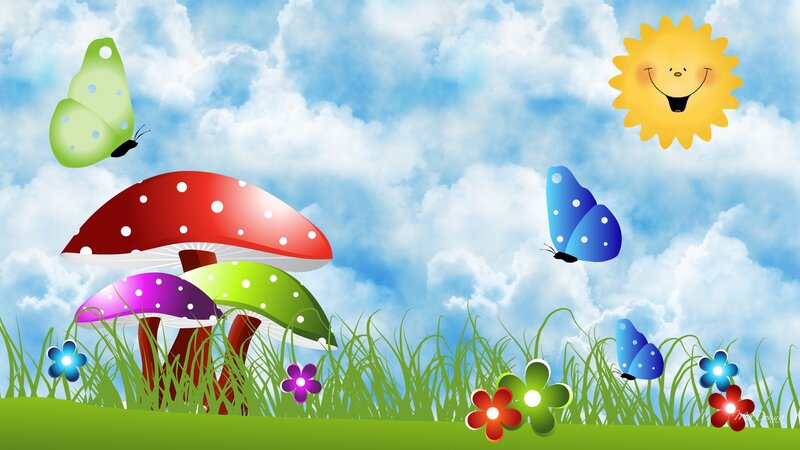 Colorful Mushrooms in Field