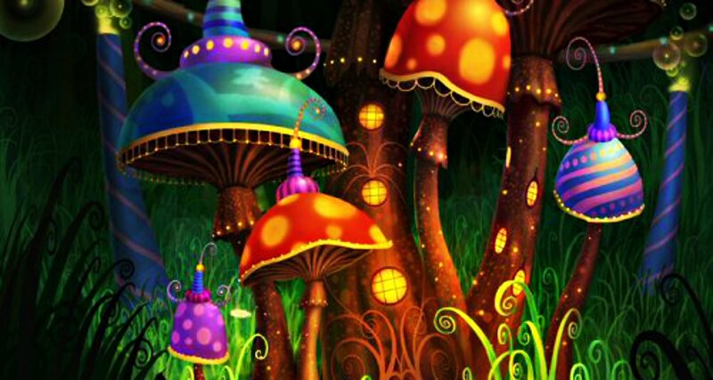 Colorful Mushrooms in Forest — Green
