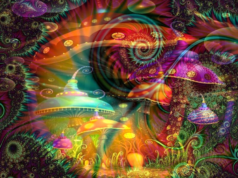 Colorful Mushrooms in Forest — Purple