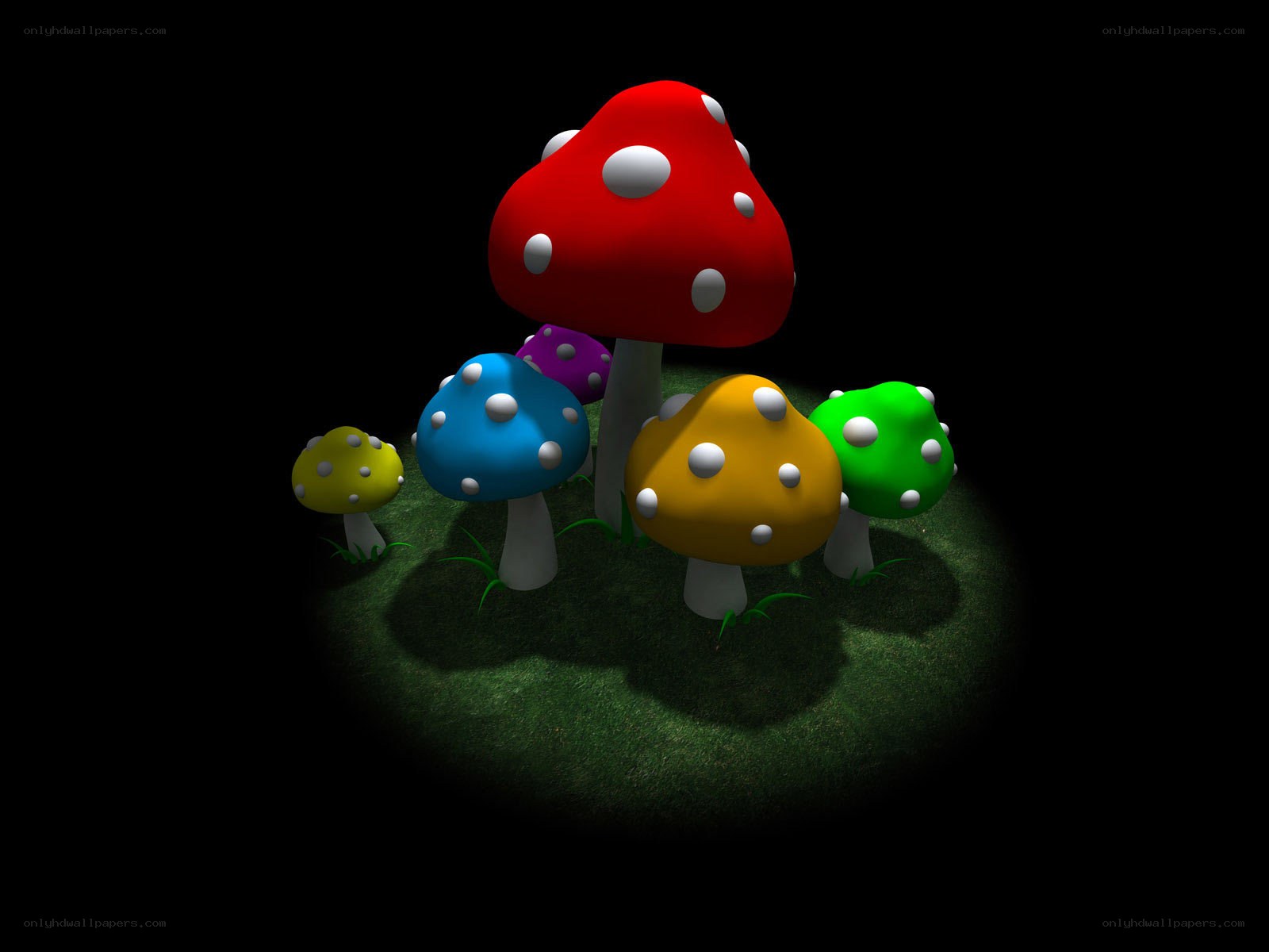 colorful mushrooms on grass