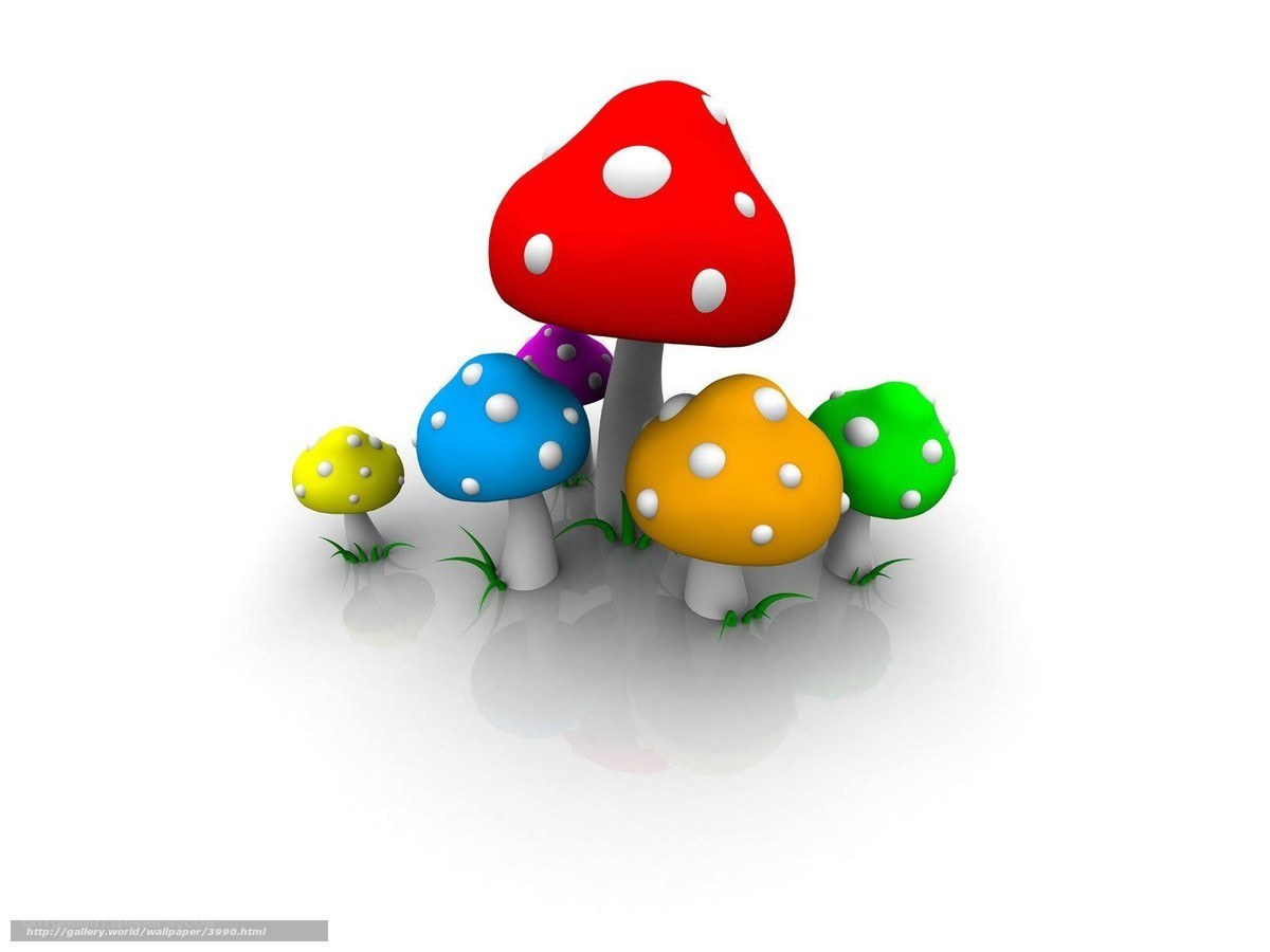 Colorful mushrooms on white
