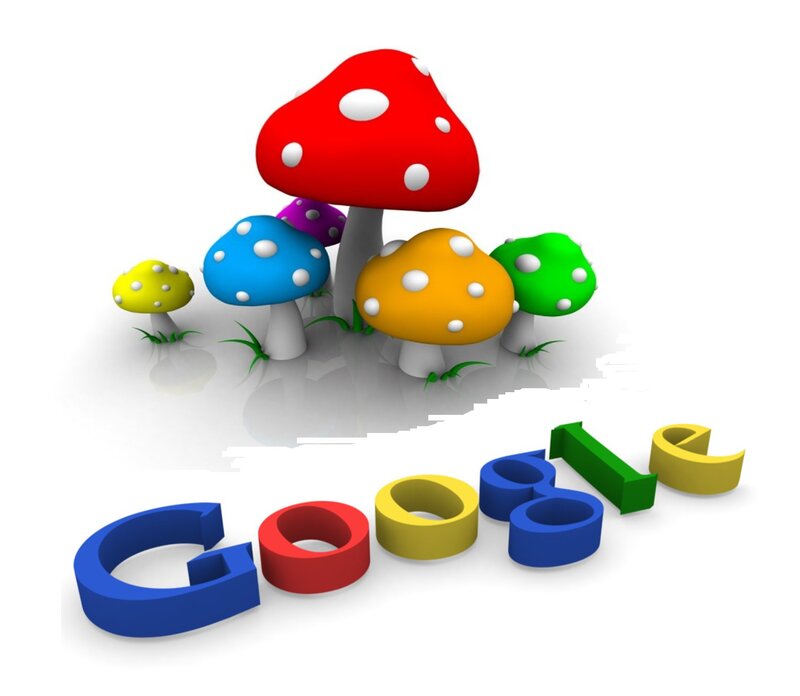 Colorful Mushrooms — Red
