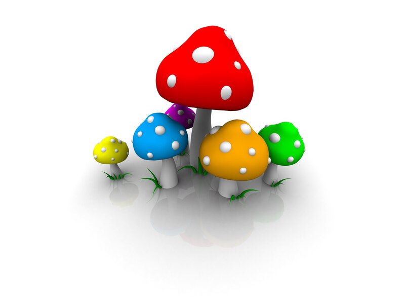 Colorful Mushrooms — Reflection