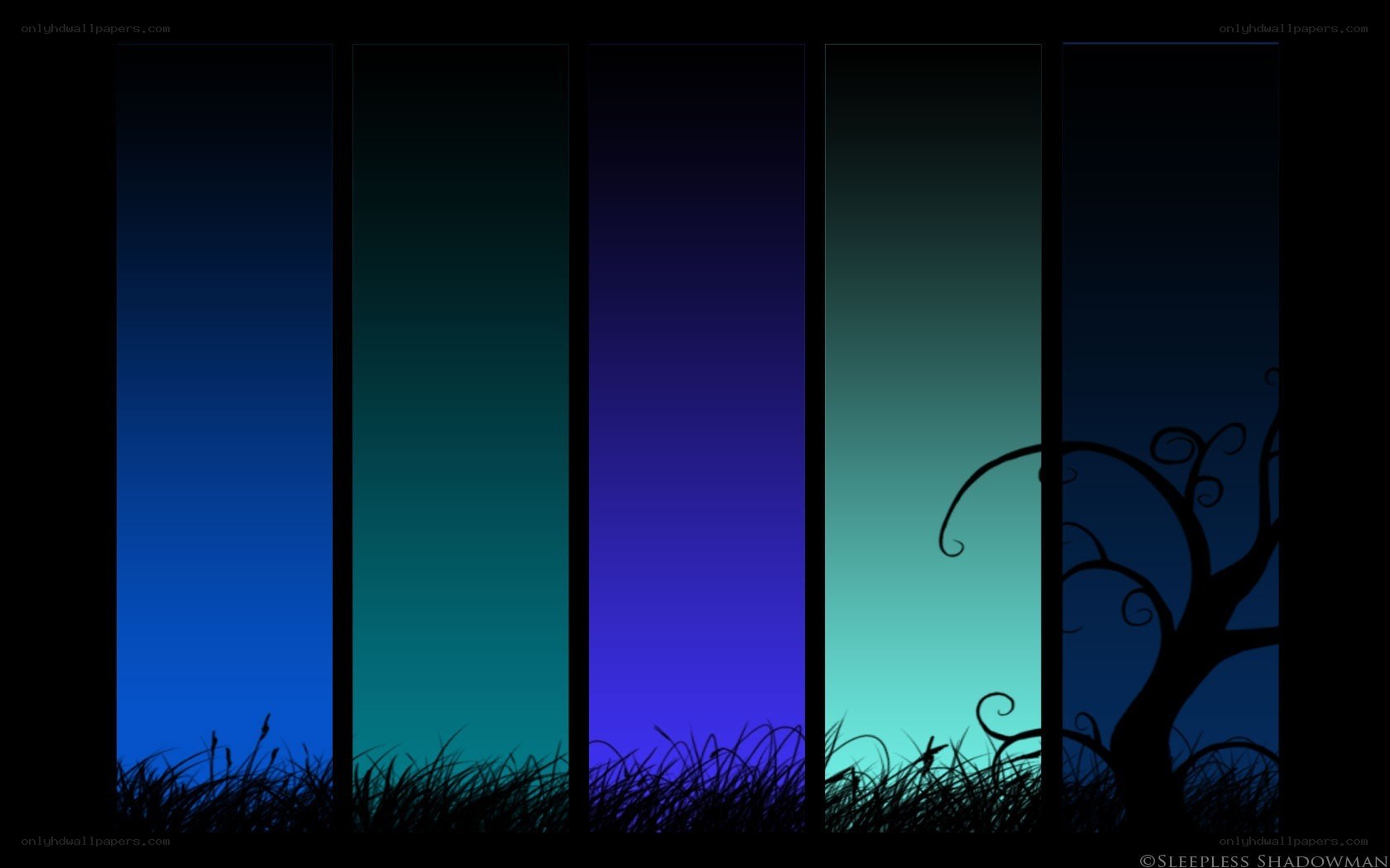 colorful night sky panels
