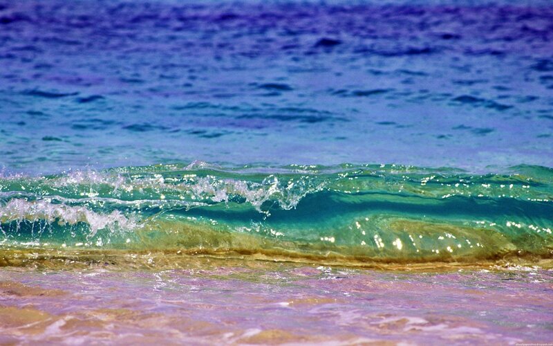 Colorful ocean wave at shore