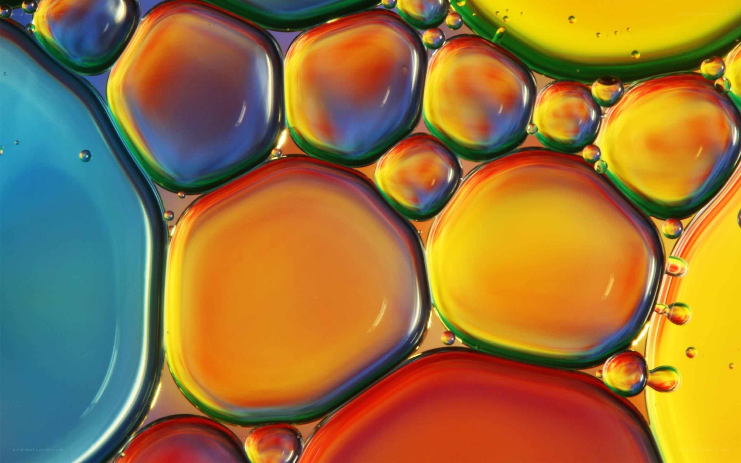 Colorful oil bubbles in water