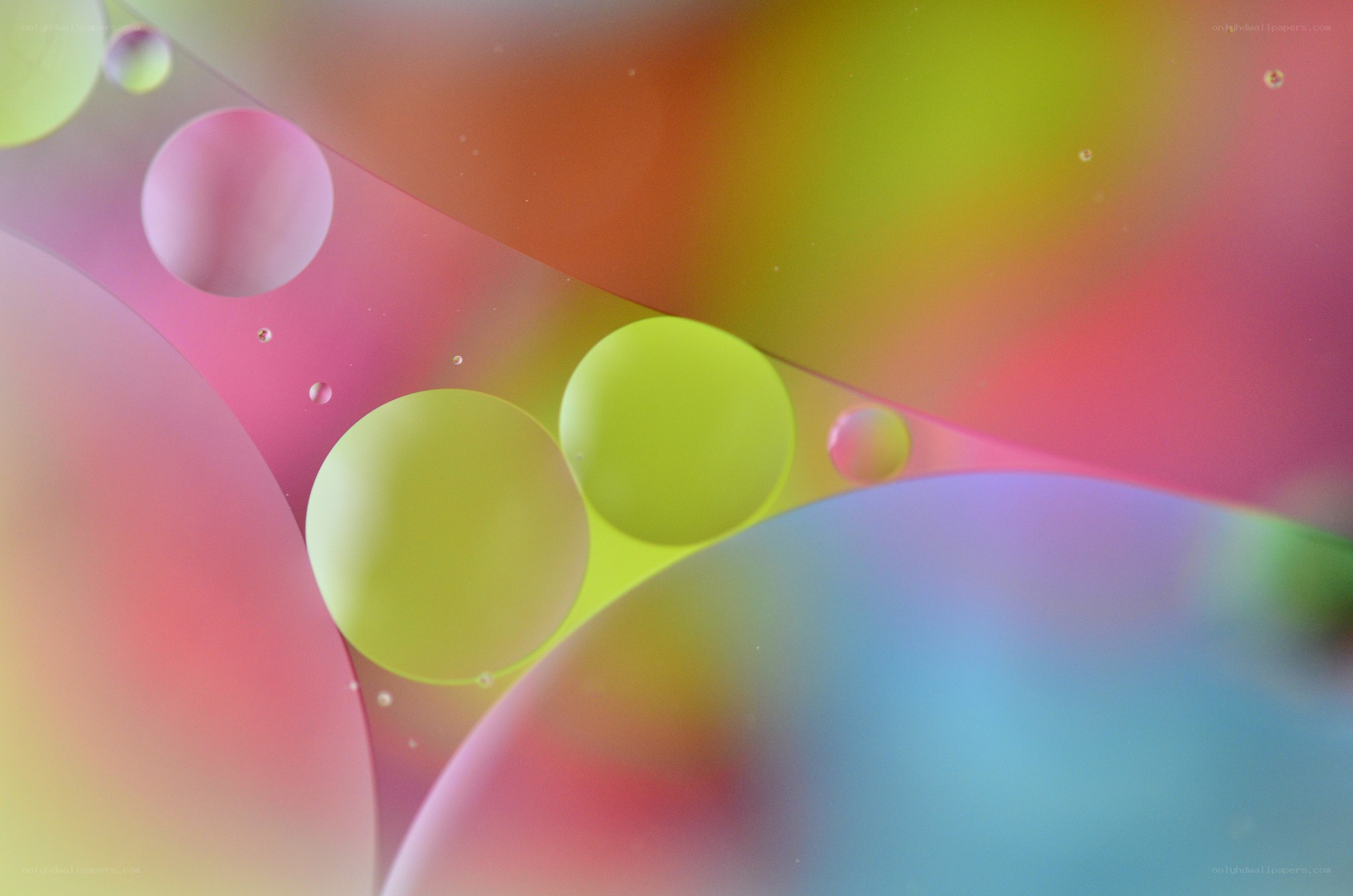 Colorful oil bubbles