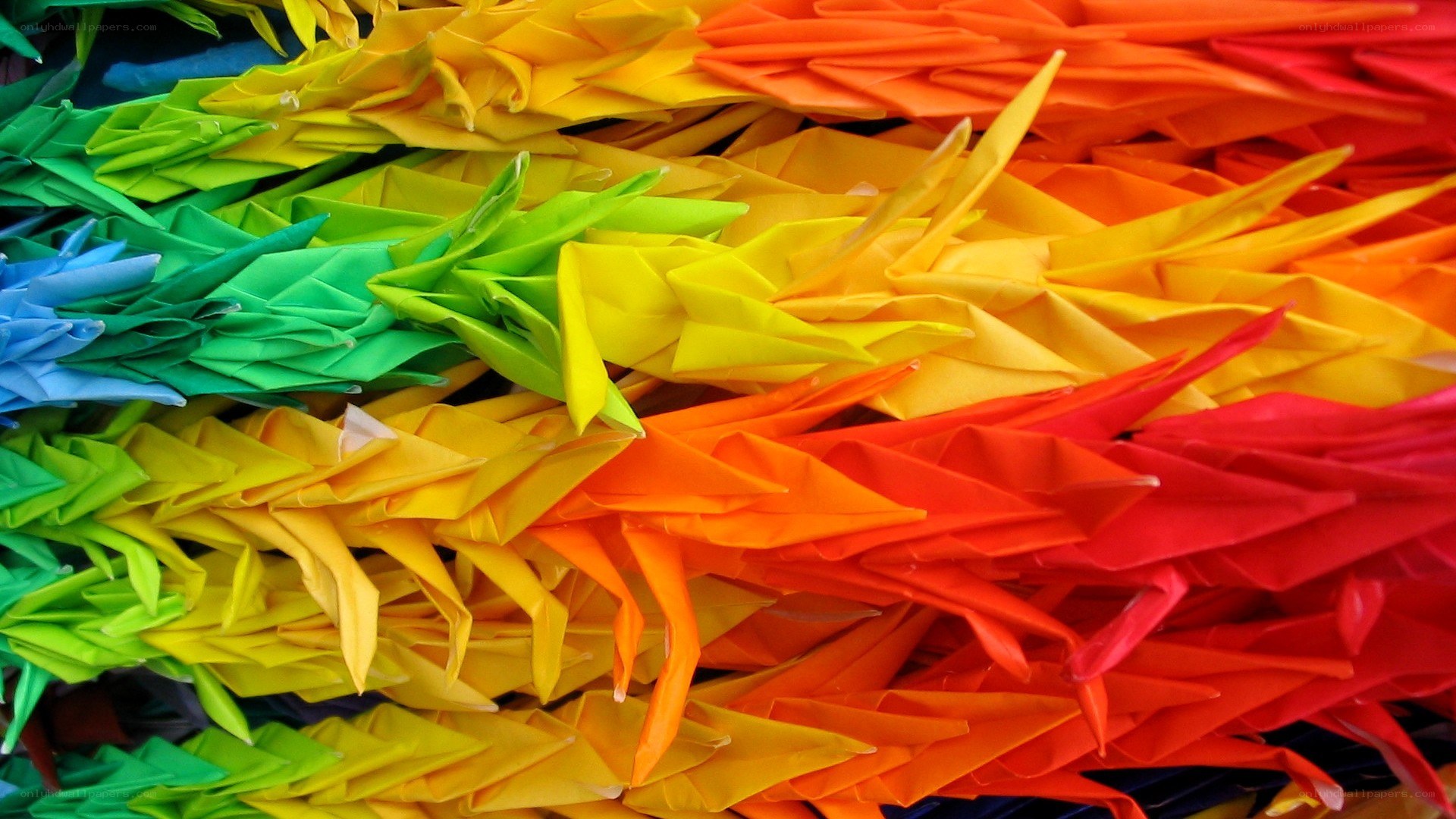 Colorful origami cranes