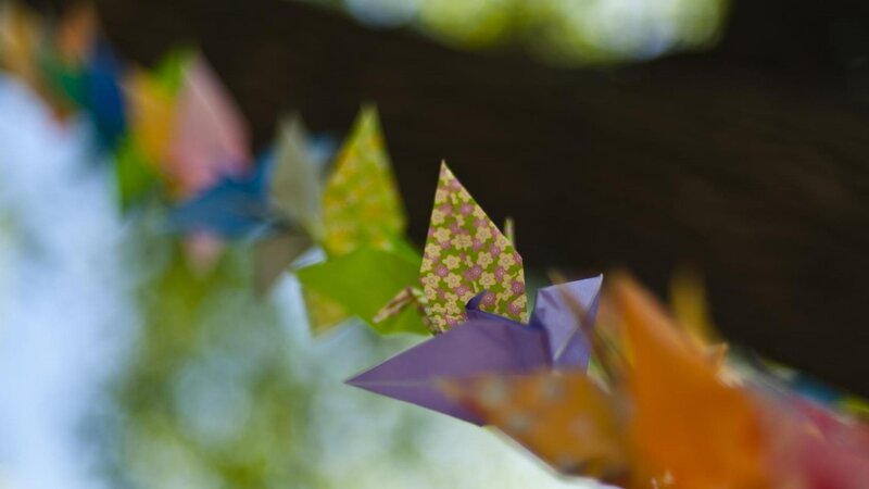 Colorful origami cranes