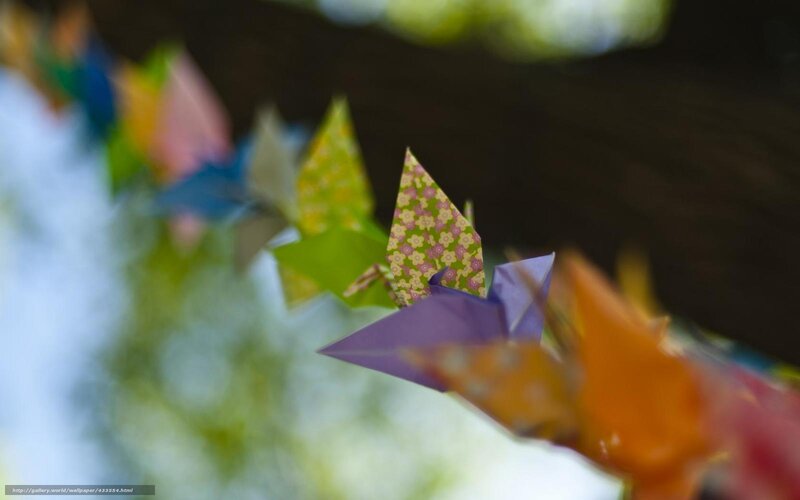 Colorful origami cranes